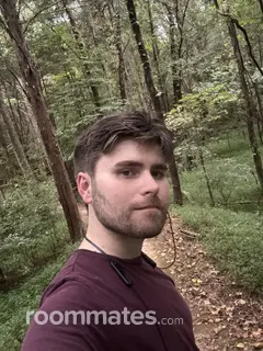 Roommate looking Nashville, TN, $700