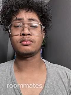 Roommate looking Houston, TX, $500