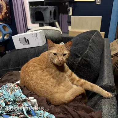 Thumbnail 14