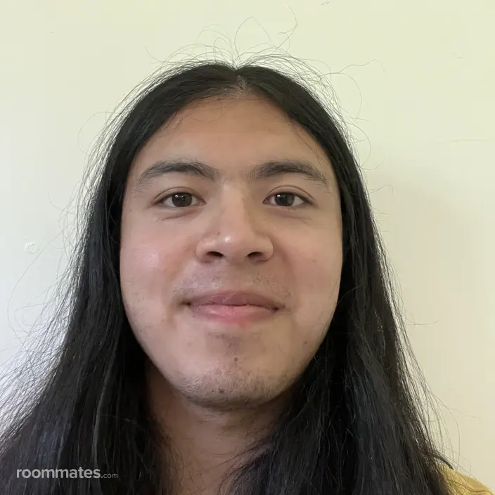 Roommate looking Riverside, MO, $800
