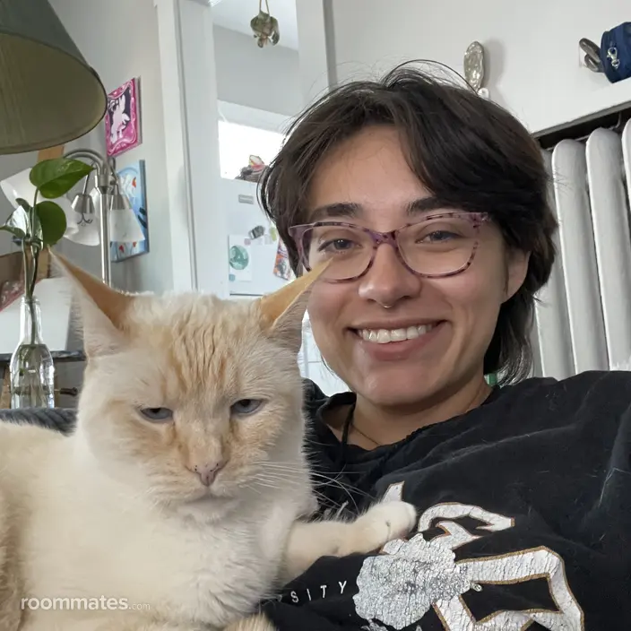 Roommate looking Tacoma, WA, $700