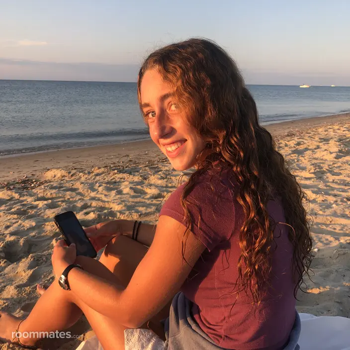 Roommate looking Needham, MA, $1200