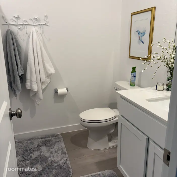 Room for rent in New Braunfels, TX $650, house