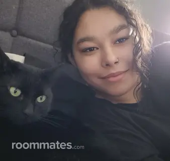 Roommate looking Blue Ash, OH, $700