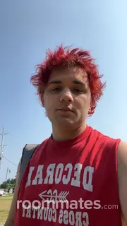 Roommate looking McHenry, IL, $800
