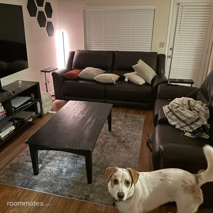 Room for rent in Nashville, TN $850, apartment