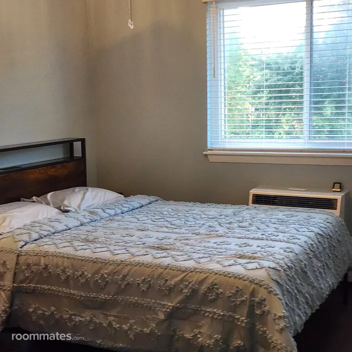 Room for rent in Naperville, IL $1000, condo