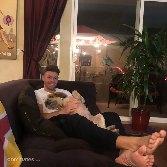 Roommate looking Sherman Oaks, CA, $1500