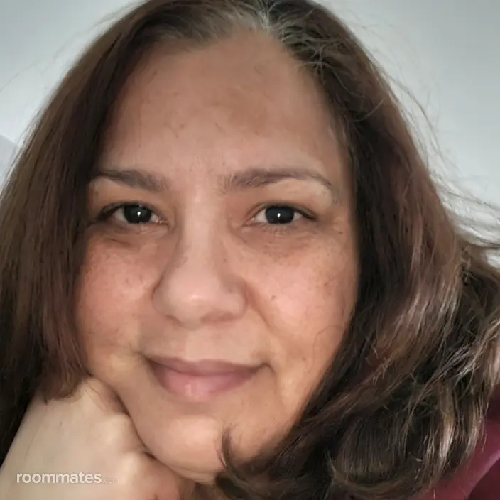 Roommate looking Sarasota, FL, $800