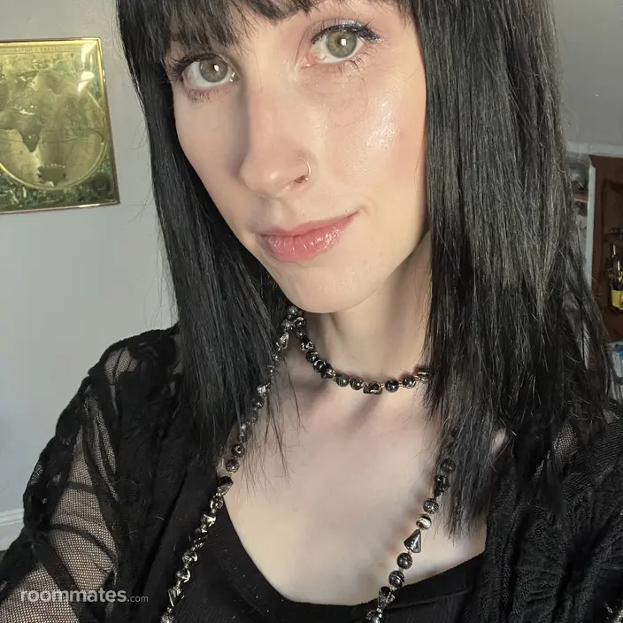 Roommate looking Chestnut Hill, MA, $1100