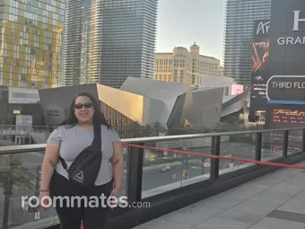 Roommate looking Chicago, IL, $800
