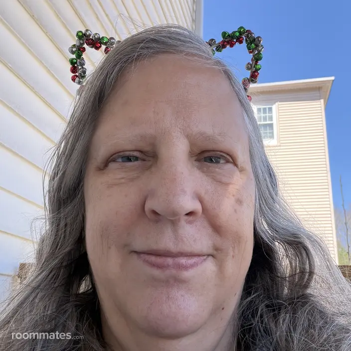 Roommate looking Malden, MA, $1000