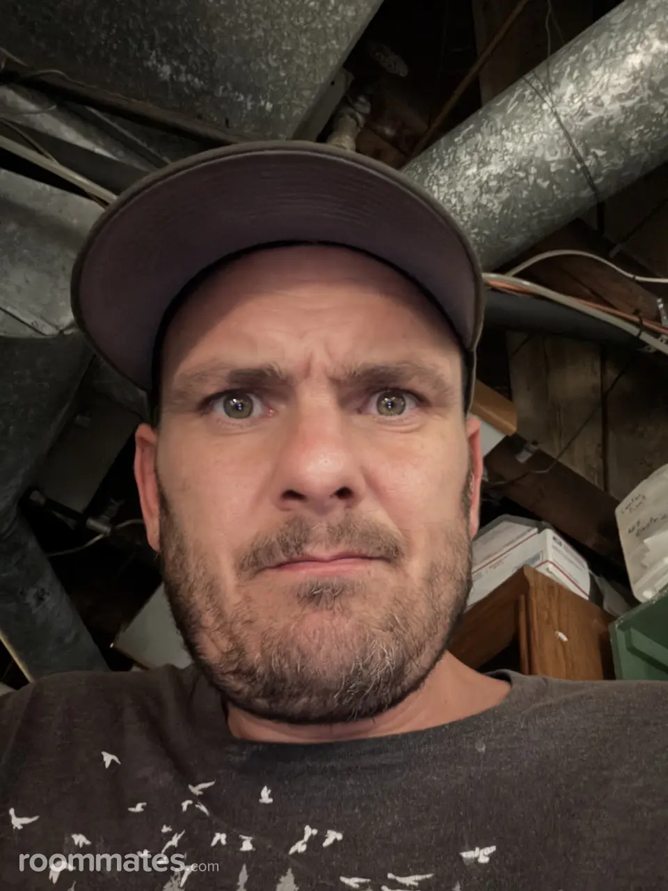 Profile photo 2 of 2