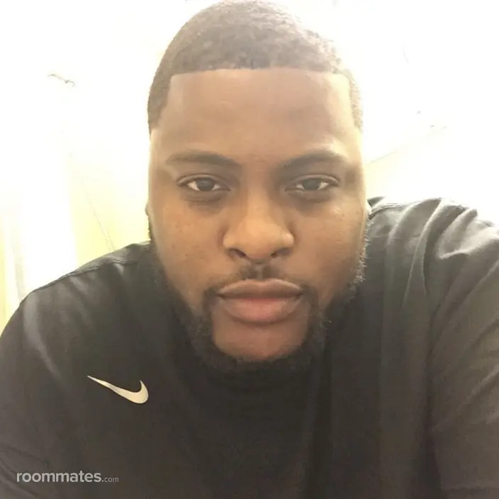 Roommate looking Detroit, MI, $500