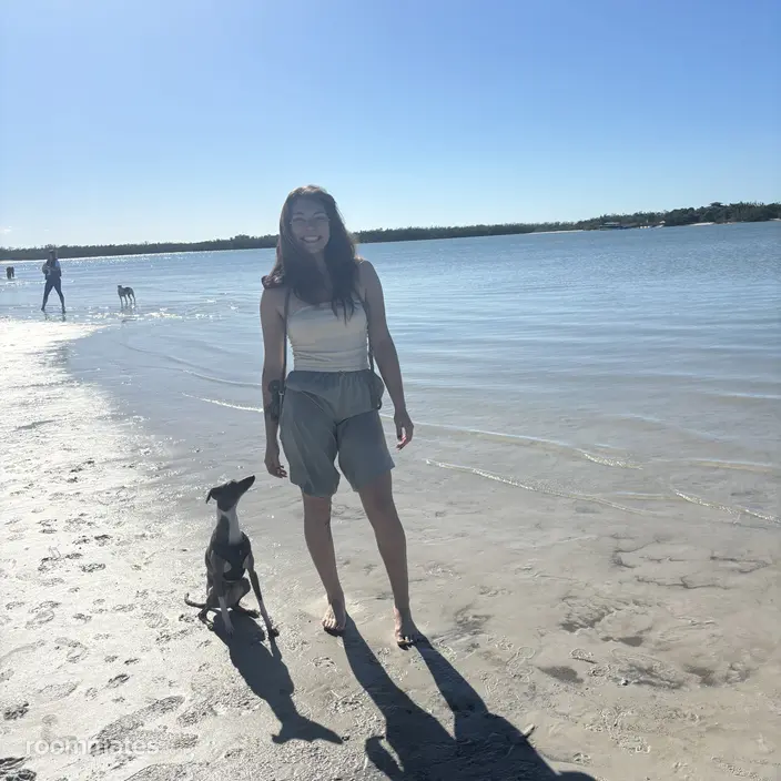 Roommate looking Longmont, CO, $1200