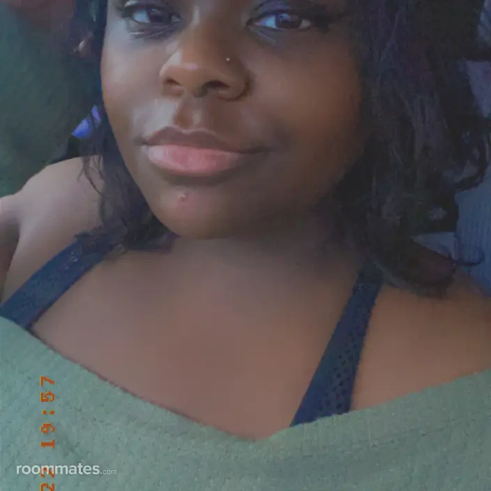 Roommate looking Houston, TX, $400