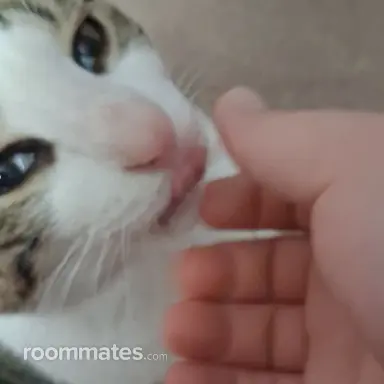 Thumbnail 14