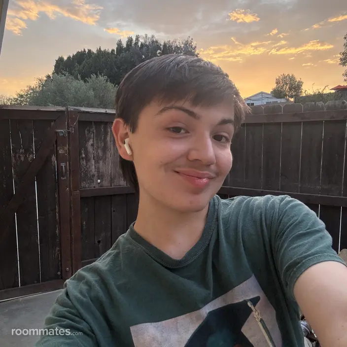 Roommate looking Fresno, CA, $600