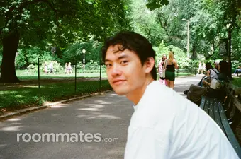 Roommate looking Schaumburg, IL, $1000