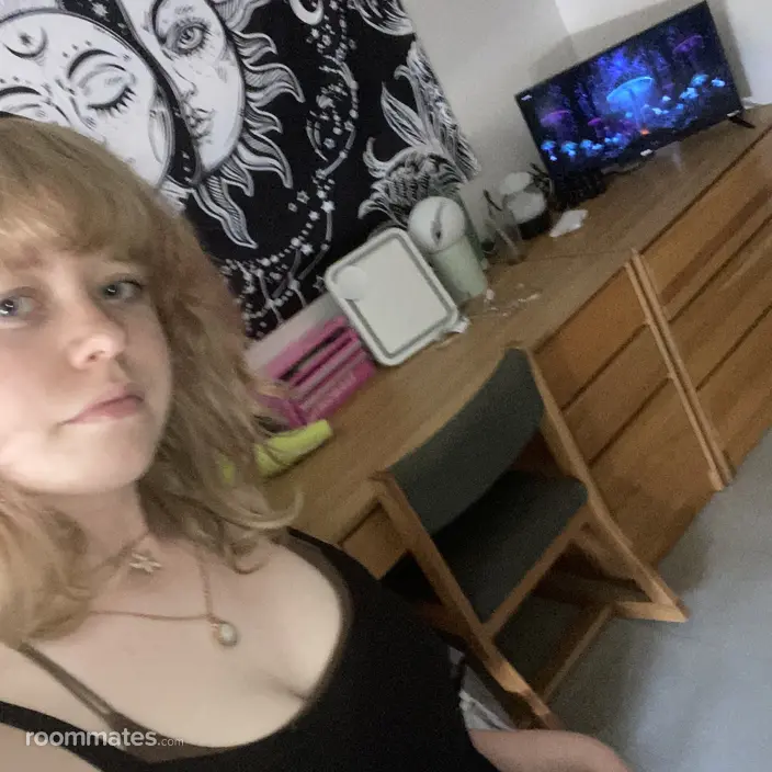 Roommate looking Dover, NH, $1200