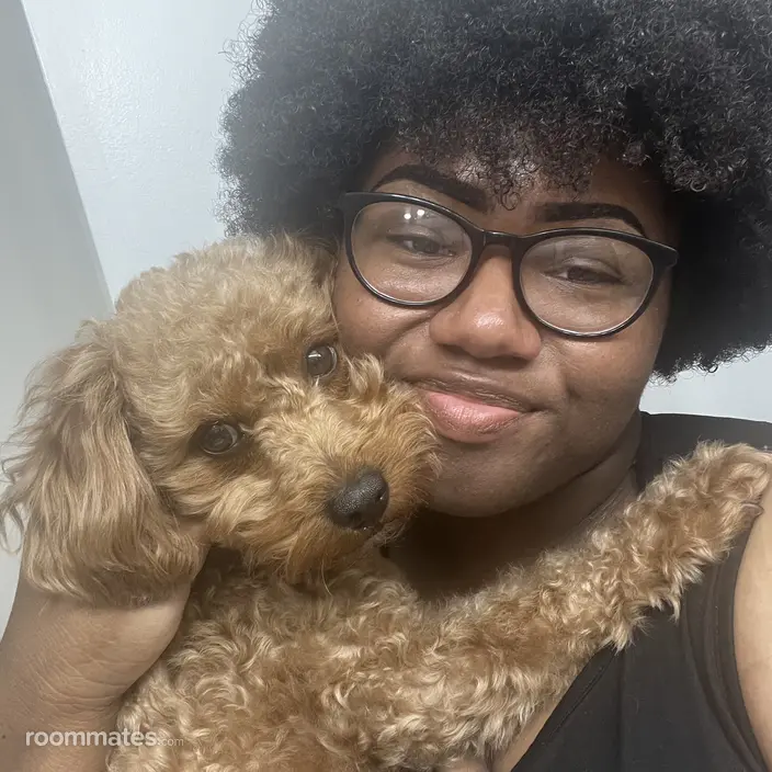 Roommate looking Newark, DE, $700