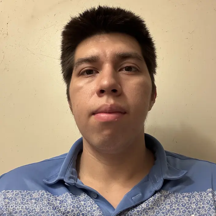Roommate looking Houston, TX, $900