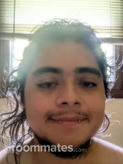 Roommate looking Chicago, IL, $600