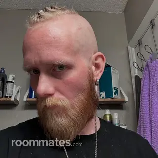 Roommate looking Reading, PA, $1200
