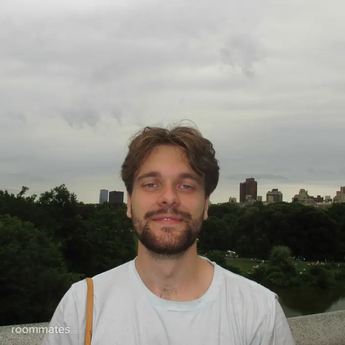Roommate looking Houston, TX, $900