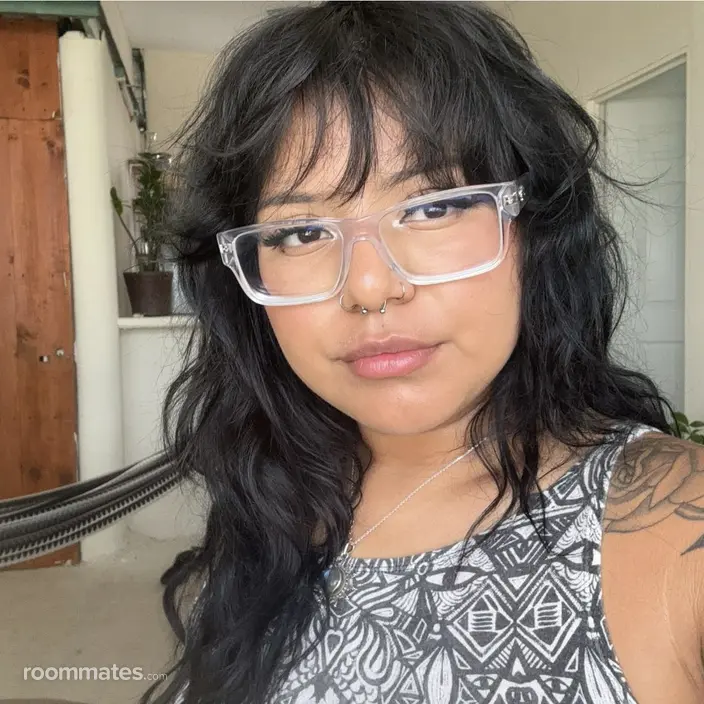 Roommate looking San Jose, CA, $1200