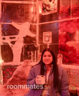 Room for rent in Las Vegas, NV $1000, house
