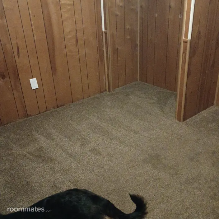 Room for rent in Burkburnett, TX $650, house