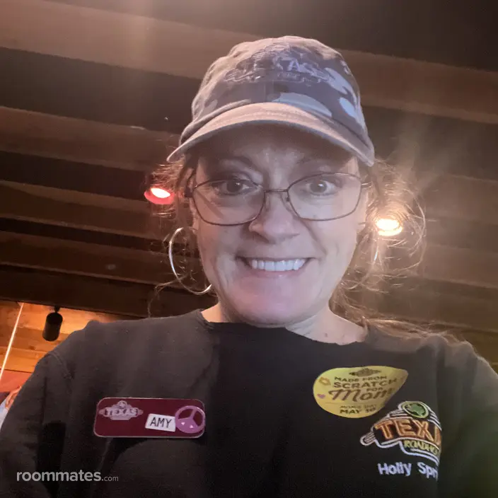 Roommate looking Holly Springs, NC, $900
