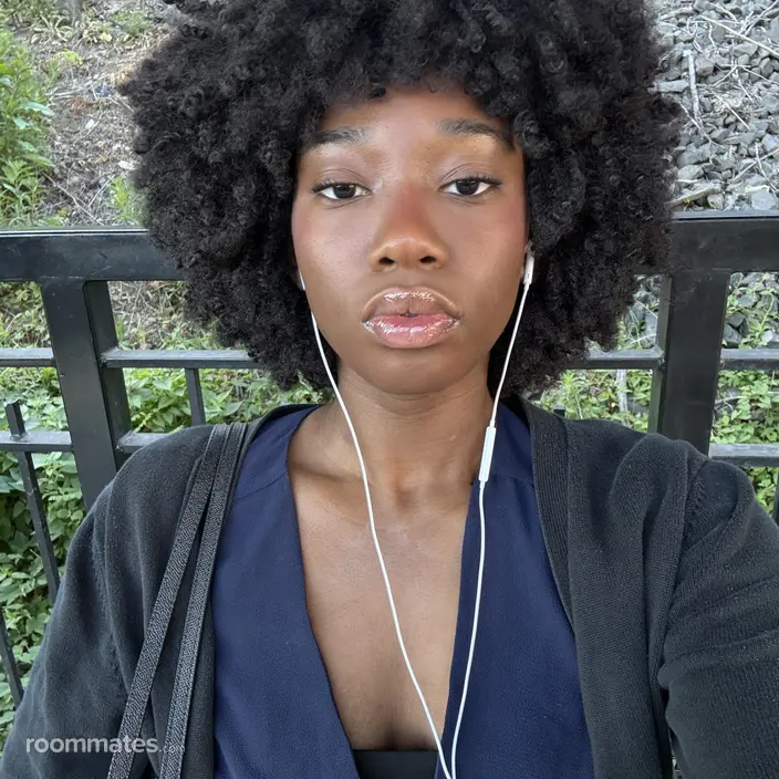 Roommate looking New York, NY, $1200