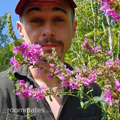 Profile photo of Joshua