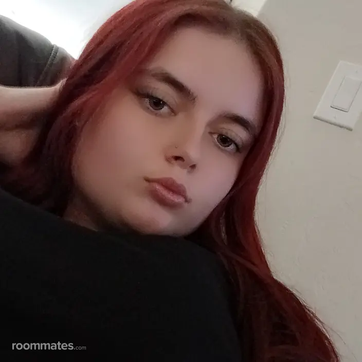 Roommate looking Mesa, AZ, $700
