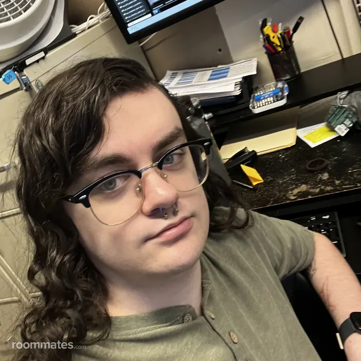 Roommate looking Salisbury, MD, $700