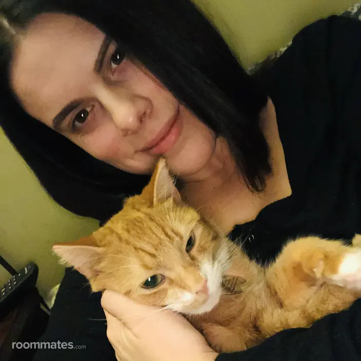 Roommate looking Hawthorne, NJ, $800