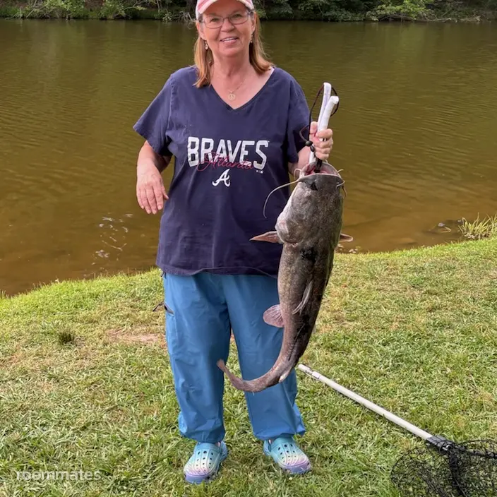 Roommate looking Pineville, NC, $800