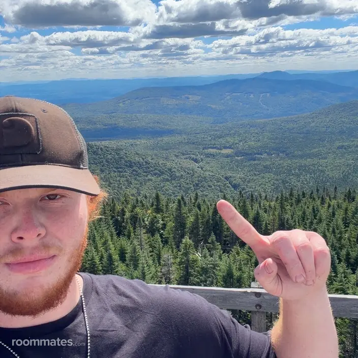Roommate looking Bow NH, $800