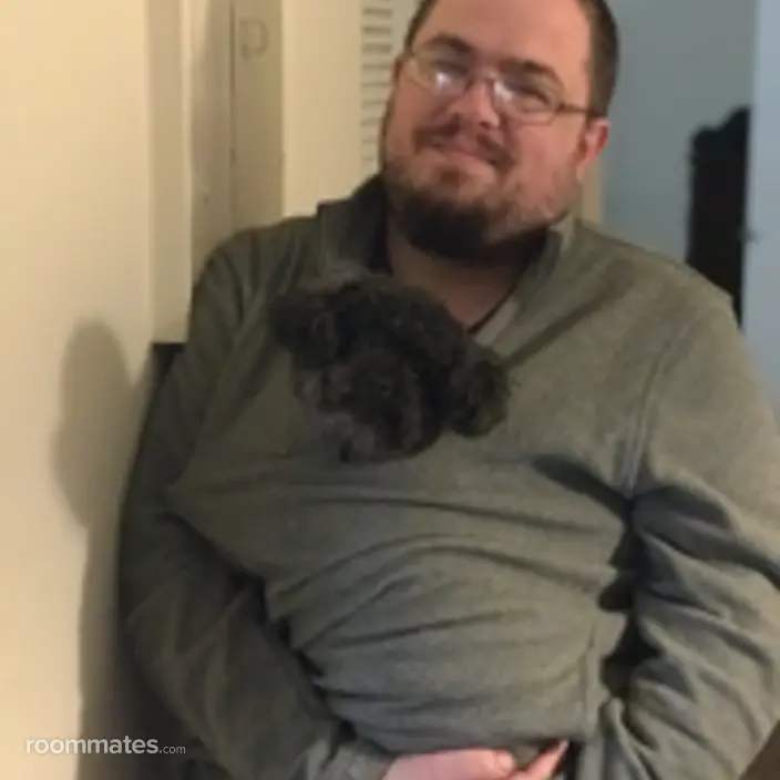Roommate looking Newport News, VA, $500