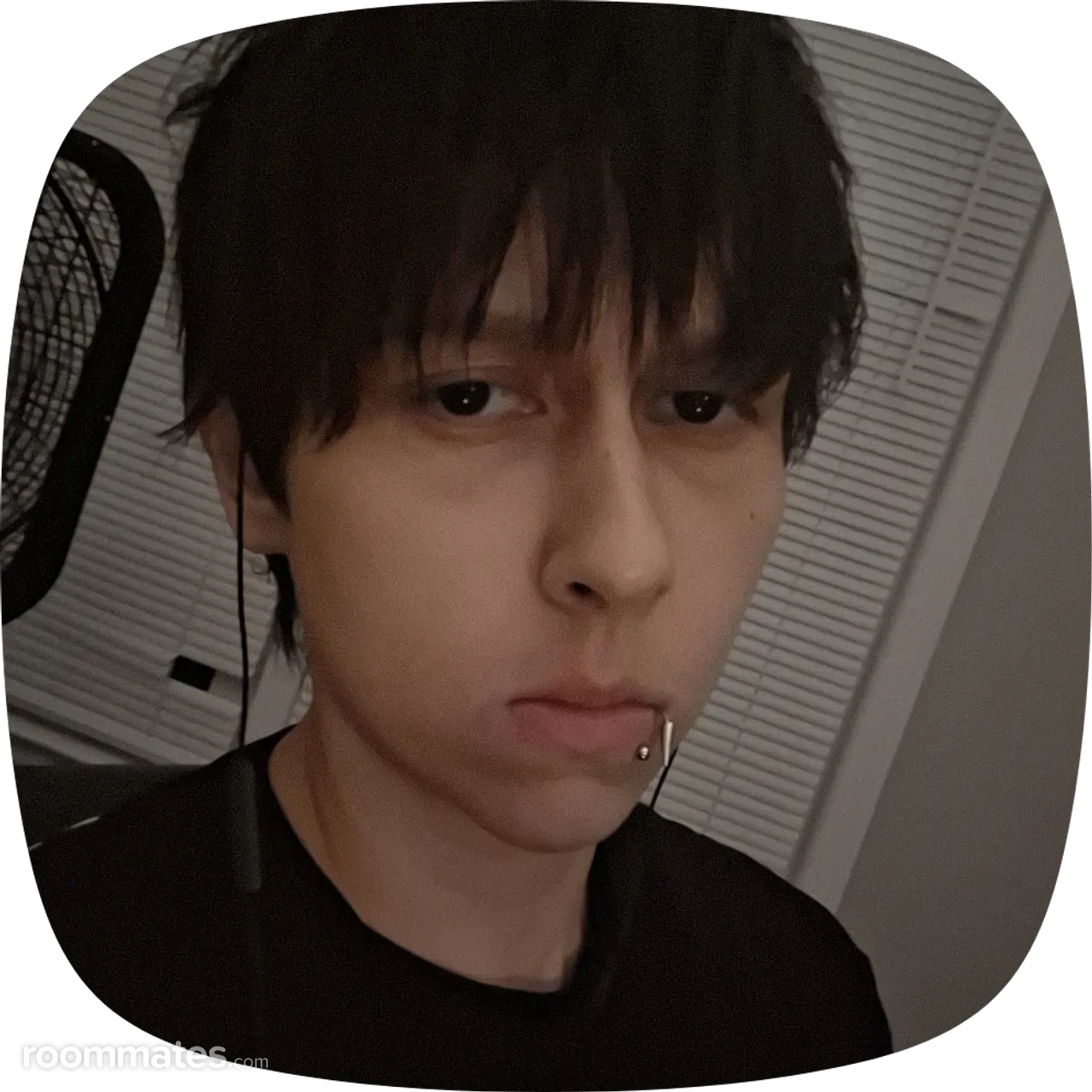 Profile photo 4 of 4