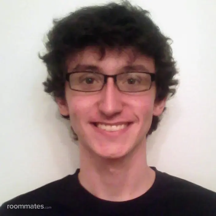 Roommate looking Oak Park, IL, $700