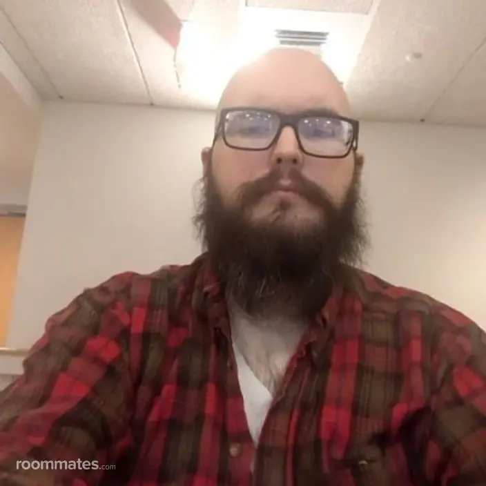Roommate looking Worcester, MA, $1000