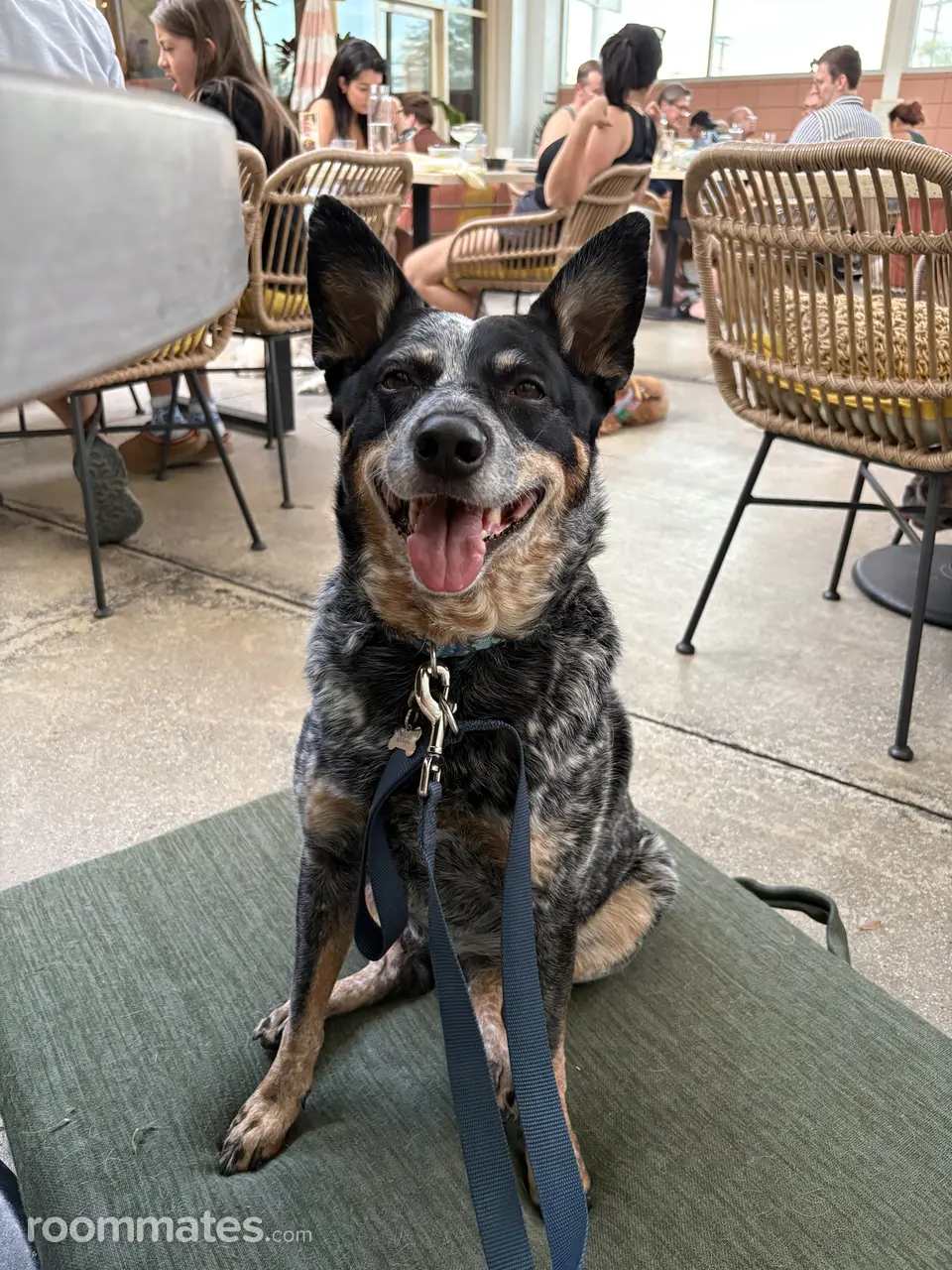 Profile photo 14 of 17