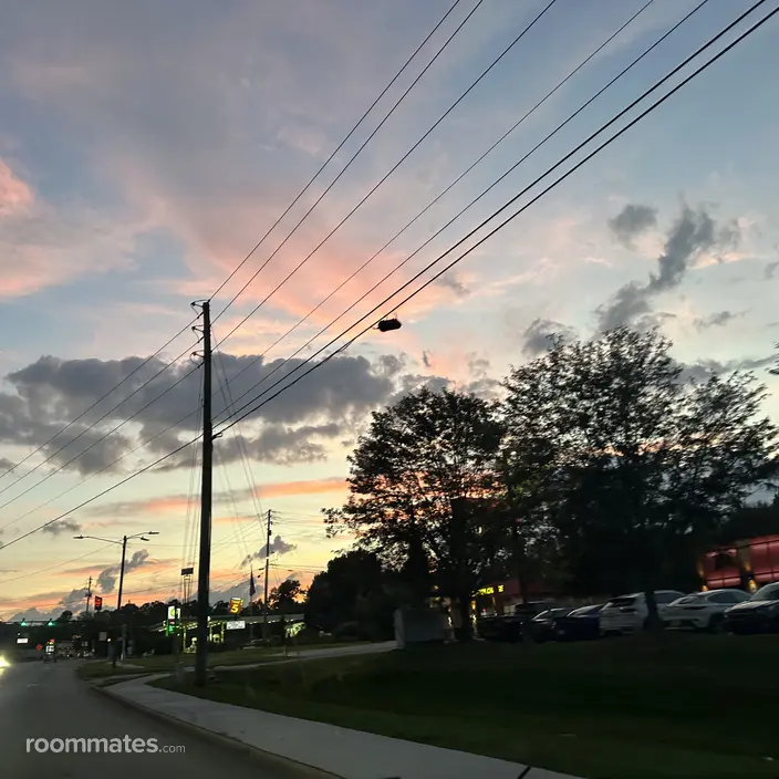 Roommate looking Candler, NC, $1200