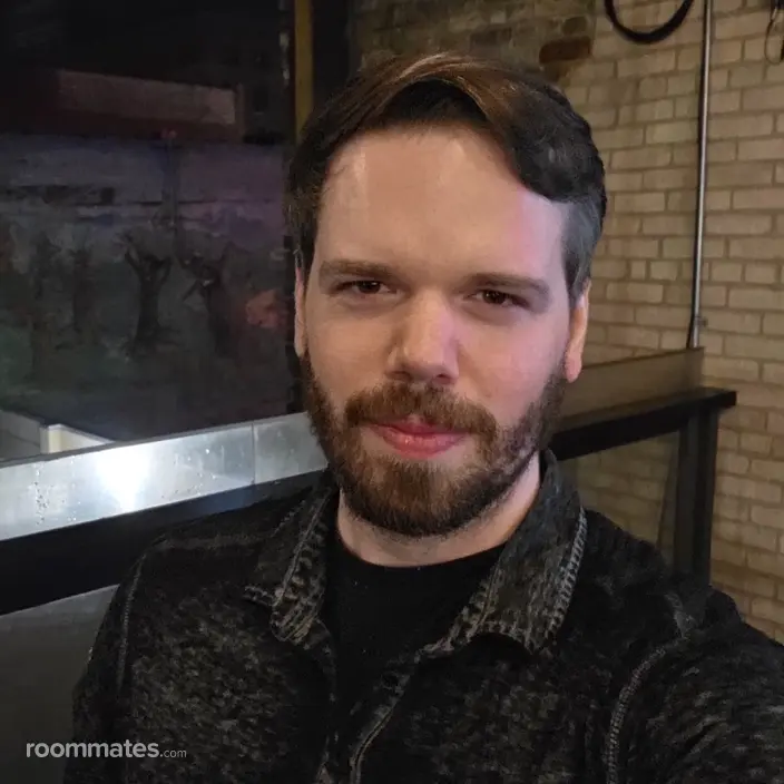 Roommate looking Saint Paul, MN, $1000
