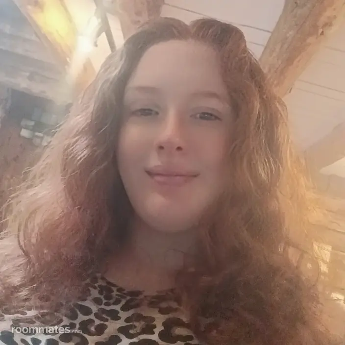 Roommate looking Kent, CT, $1000