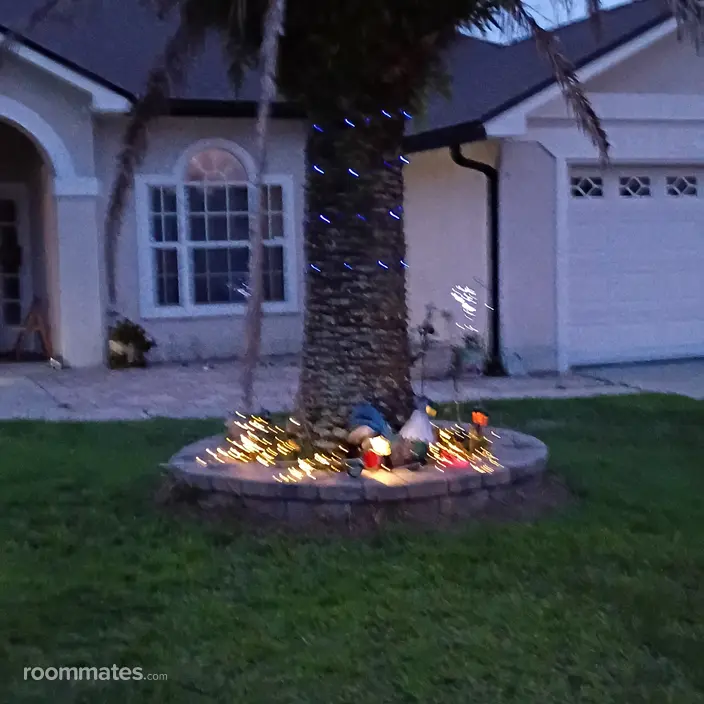 Room for rent in Orange Park, FL $640, house