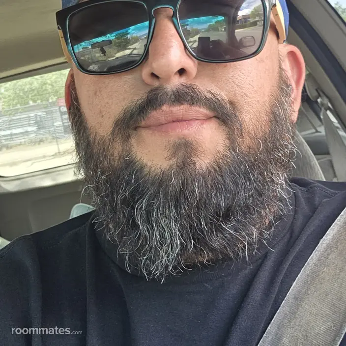 Roommate looking Albuquerque, NM, $700